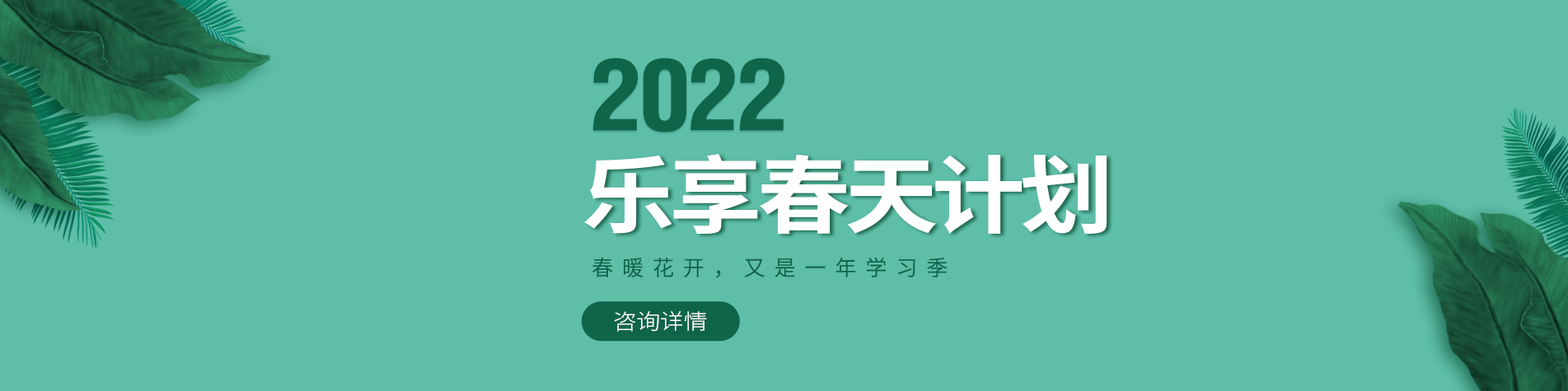 黄操网站在线观看